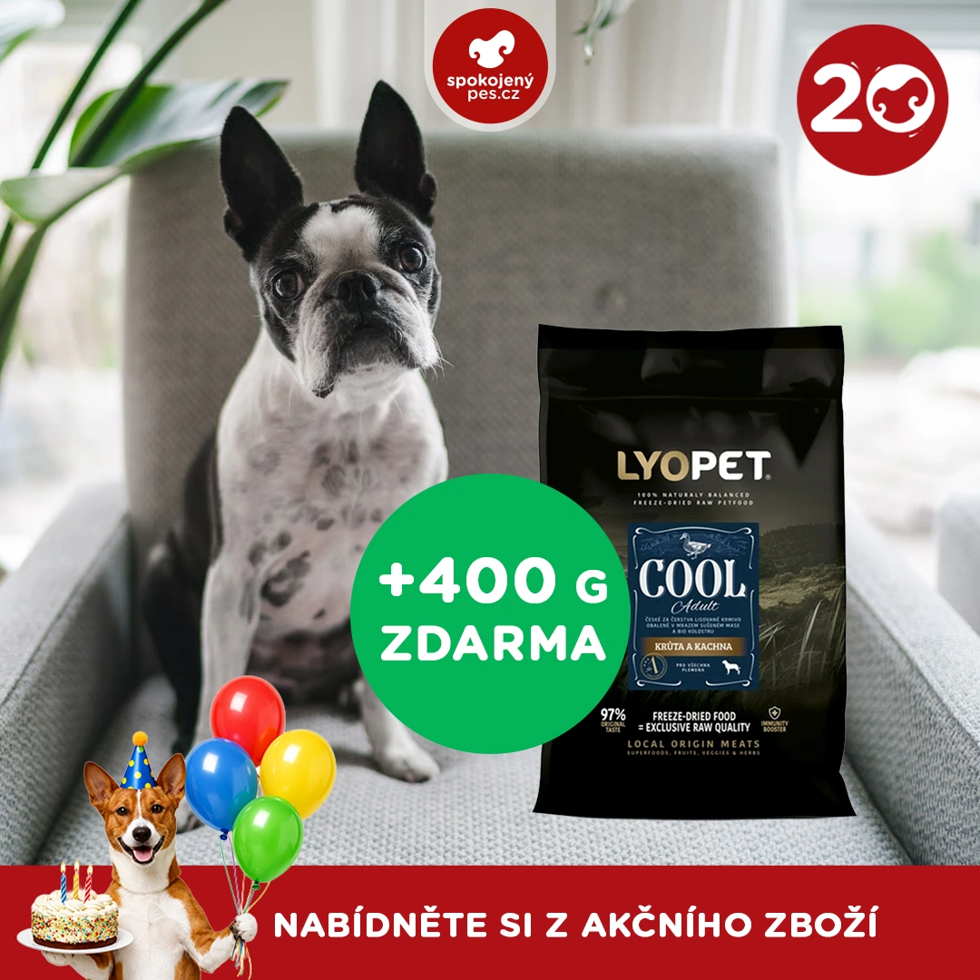 akční březen_6_CZ.webp